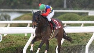 【園田・兵庫女王盃注目馬】ライオットガールの連覇か、他馬が台頭するか