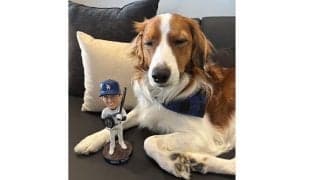 大谷翔平、デコピンの最新写真公開　サヨナラHRを“目撃？”…特製クッキー＆ボブルヘッドと2S