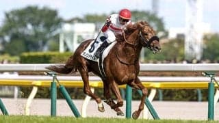 【ドバイSC枠順】日本ダービー馬ダノンデサイルは3番ゲート、G1・7勝のレベルスロマンスは4番ゲート