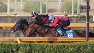 エリキング、皐月賞2週前追い切り速報/栗東トレセンニュース