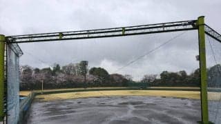 東京都は3日連続で全試合雨天中止、開幕は4日以降に持ち越し【25年春高校野球】