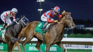 【ドバイGS枠順】日本のリメイクは8番ゲート、米最優秀短距離牡馬ストレートノーチェイサーは9番ゲート