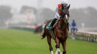 【チャーチルダウンズC出走馬・騎手確定】アルテヴェローチェ＆佐々木大輔騎手、ランスオブカオス＆吉村誠之助騎手など11頭