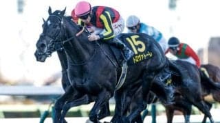 【ダービー卿CT出走馬・騎手確定】トロヴァトーレ＆J.モレイラ騎手、ロジリオン＆松山弘平騎手など14頭