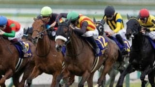 【大阪杯・調教後馬体重】ステレンボッシュは475kg、シックスペンスは508kg