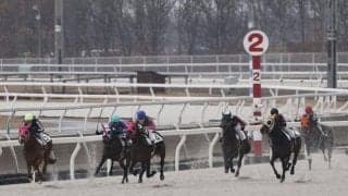 ホッカイドウ競馬で今年4回目の能力検査 最速タイムを記録したのは新種牡馬マテラスカイの仔