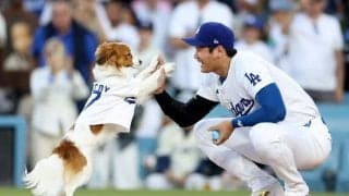 「デコくん、目あいてる？」サヨナラアーチの大谷翔平、デコピンの最新ショットを公開　「ホームラン、見たのかな」
