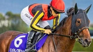 稀代の名牝 ドバイターフで海外G1初制覇を狙う