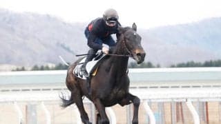 トレーニングセール上場予定の29頭 日高育成調教施設で採血と調教ビデオ撮影