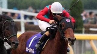 兄姉に活躍馬ズラリ 名牝ヘヴンリーロマンスの仔が日曜阪神で初陣