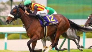 【大阪杯】ステレンボッシュは475kg…調教後の馬体重