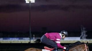 【ドバイWCデー】矢作師「欲を言うなら外側の枠が…」フォーエバーヤングは5番ゲート