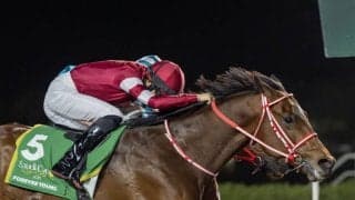 2025ドバイワールドカップデーの中継…フォーエバーヤングなどが参戦