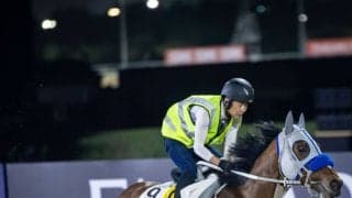 【ドバイターフ】武豊メイショウタバルは8番ゲート