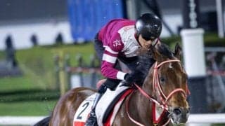 【ドバイワールドカップ】フォーエバーヤングは5番ゲート…11頭立て