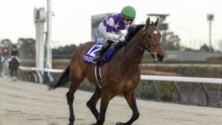 【川崎記念】サンライズジパングなどJRA6頭