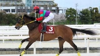 【兵庫女王盃】テンカジョウが交流重賞2勝目…アーテルアストレアは2着