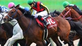 ドイツの名牝系出身 GI覇者の半弟がデビュー