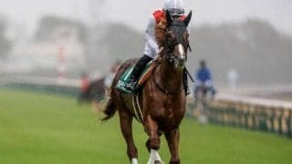 【チャーチルダウンズC枠順確定】アルテヴェローチェは6枠6番、ランスオブカオスは6枠7番