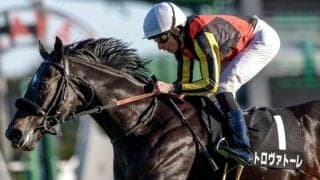 【ダービー卿CT枠順確定】トロヴァトーレは2枠2番、ロジリオンは8枠14番