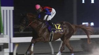 高知所属馬が韓国G3出走へ 地方競馬全国協会が発表