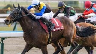 大阪杯は重馬場の可能性も 道悪で注目したいディープインパクト産駒とは