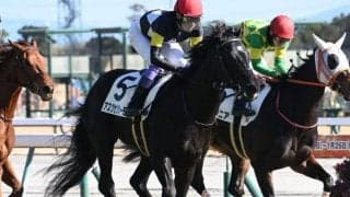 【チャーチルダウンズC予想】前走重賞組が強さを見せる！ 新馬や未勝利から参戦する馬の取り扱いには注意