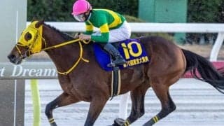 賞金王ラストラン 日本馬史上初のドバイWC2勝目なるか