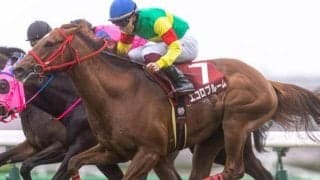 昨年のニュージーランドT覇者 “中1年”で重賞連勝なるか