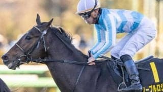 阪神芝で好調なエピファネイア産駒 土曜メインはポテンシャル確かな一頭に注意