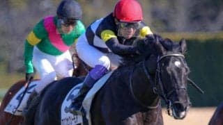 福永厩舎のセレクト2.9億円馬 チャーチルダウンズCで史上最高額のJRA重賞ウイナーになるか