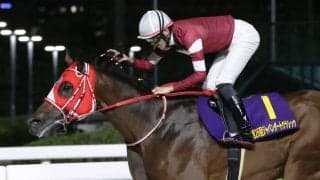 【ドバイワールドC／馬単3点】フォーエバーヤングは“世界制圧”への通過点か　前走完敗組の大駆けに要警戒