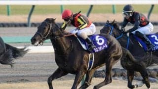 【皐月賞想定馬・騎手】クロワデュノール、マスカレードボールなど19頭