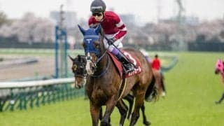 【阪神牝馬S想定馬・騎手】ボンドガール、アルジーヌなど14頭