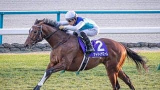 【ニュージーランドT想定馬・騎手】アドマイヤズーム、グーテンベルクなど15頭