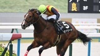 【チャーチルダウンズC予想】NHKマイルCへのトライアル 将来性を見定めたい一戦