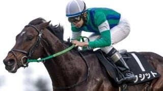 【ダービー卿CT予想】実績よりもコース適性を重視したい春のマイルハンデ重賞