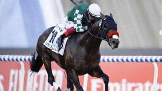 【ゴドルフィンマイル結果】カズペトシーンが追い上げて3着 米G1馬レイジングトレント完勝