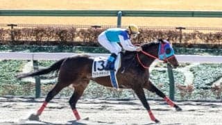 【UAEダービー結果】アドマイヤデイトナが接戦を制す！ 日本勢の4連覇！