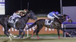 【UAEダービー】日本のアドマイヤデイトナが大接戦を制する