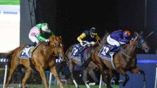 【ドバイGS結果】日本勢はクロジシジョーが4着 地元の伏兵ダークサフロンV