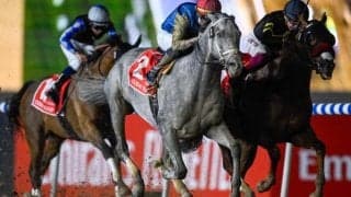 【ドバイWC結果】フォーエバーヤング3着に敗れる 米国のヒットショーがV