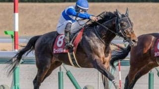 霜降り明星・粗品が大阪杯を予想 「いよいよ本格化した」と日経新春杯覇者に◎