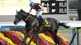 【今日の注目ポイント】大阪杯でデシエルトがGI初制覇を狙う