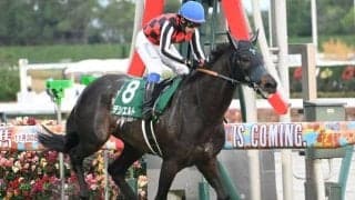 阪神内回りは前優勢 大阪杯はデシエルトの粘り込みがあるぞ