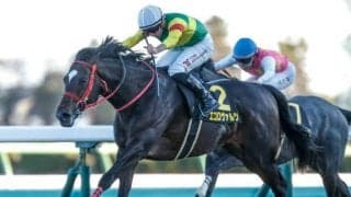 【大阪杯予想】瞬発力よりも持久力や器用さ重視で 春の中距離王者決定戦