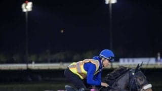 【UAEダービー】今野師「まだまだこれから」ドンインザムードは惜しい3着