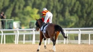 【ゴドルフィンマイル】池添師「期待していました」大外から豪脚使い3着