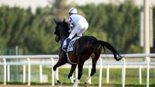 【ゴドルフィンマイル】藤岡佑「やりたい競馬は出来た」ペプチドナイルは11着に敗れる