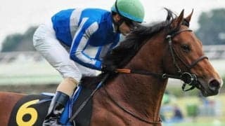 ディープ産駒の3億円馬 転厩初戦で復活Vなるか